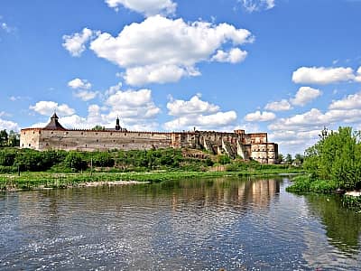 Меджибізький замок складається із чотирьох службових приміщень, двох замкових корпусів, трьох веж. Кожна з перерахованих споруд відноситься до різних часів побудови. План об'єкта має форму подовженого трикутника.