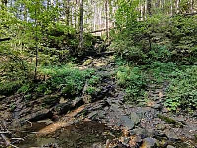 околиці біля водоспаду "Дівочі сльози"