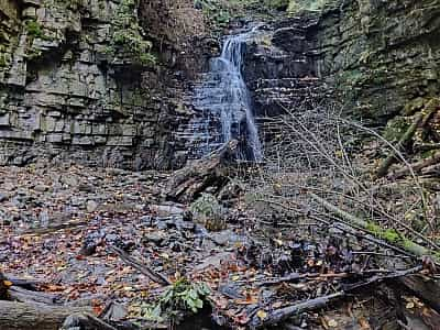 Мальовничий водоспад Дзвінка, розташований в Українських Карпатах, утворився на правій притоці річки Бухтівець під назвою Свиненський, у місці, де потік перетинає урвище флішового типу заввишки понад 5 метрів. 