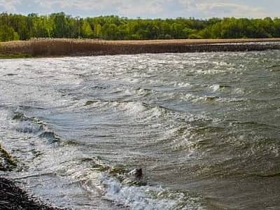 Сомин (Сомине) - озеро з легендою у Волинській області України, село Сомин. Відгуки відвідувачів