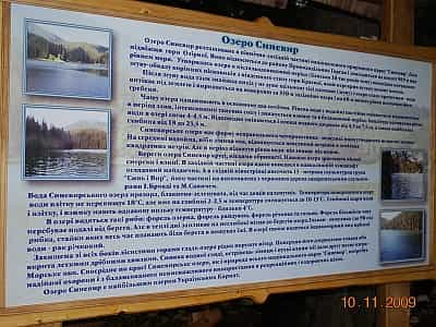  Озеро Синевир займає площу 7 гектарів і знаходиться на висоті 989 метрів над рівнем моря. 