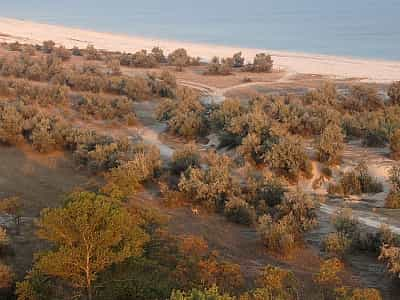 Бирючий острів в Азовському морі.