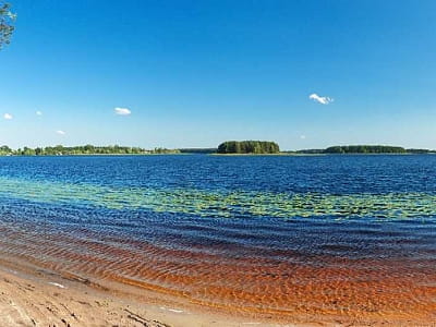 Добірка цікавих місць у Рівненській області.