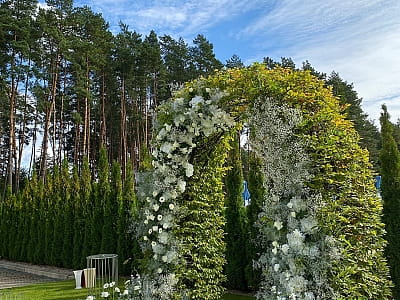 Арка для урочистих вінчань в заміському комплексі "Криве озеро"