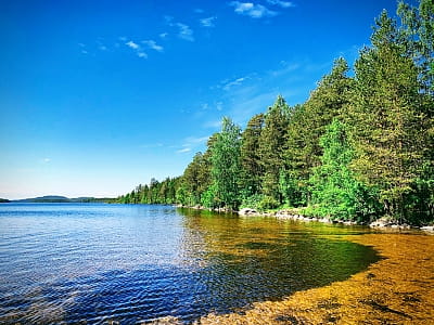 Підбірка місць для відпочинку біля води недалеко від Львова