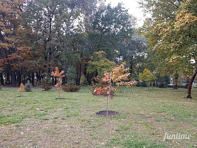 Незважаючи на те, що сьогодні парк «Наталка» не порівняти з тим, що було на його місці 5 років тому, багато хто сумує за його колишньою «дикістю» справжньої природи. 