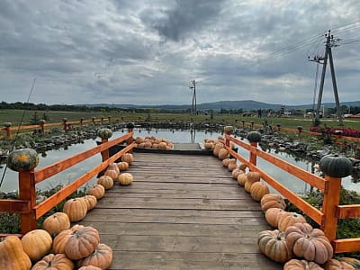 Виставка гарбузів в сімейному парку "VenGreenery" в селі Мамаївці Чернівецької області