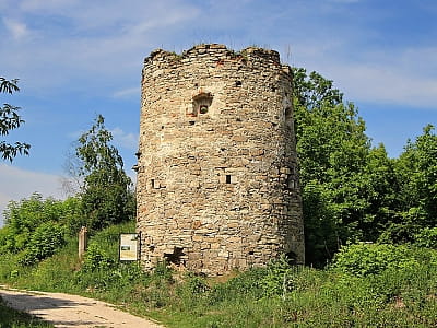 Сатанівський замок у селищі Сатанів Хмельницької області