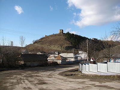 Висіцький замок це місце, де історія оживає у кожному камені, а природа зачаровує своєю красою. Відвідайте цей унікальний куточок Тернопільщини, щоб відчути дух минулих століть та насолодитися незабутніми краєвидами.