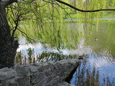 Каскад озер в парку Феофанія