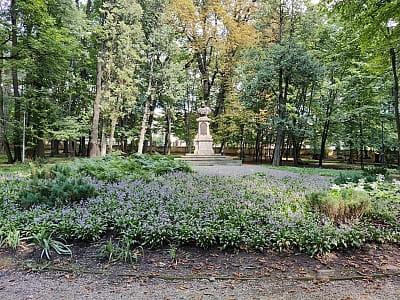 Центральний парк культури та відпочинку імені Т.Г.Шевченка в Чернівцях