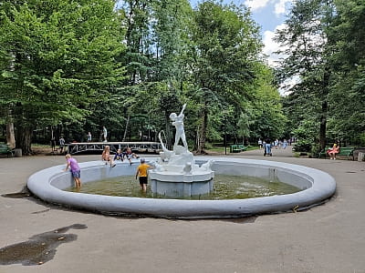 Фонтан в центральному парку культури та відпочинку імені Т.Г.Шевченка в Чернівцях