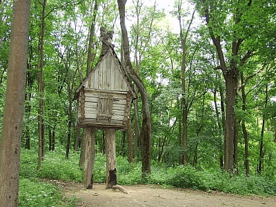 Хата на курячих ніжках в Краснокутському дендропарку на Харківщині