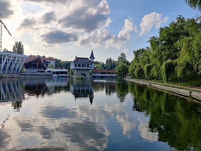 Озера в парку "Реформації" ("Жовтневий") в місті Чернівці