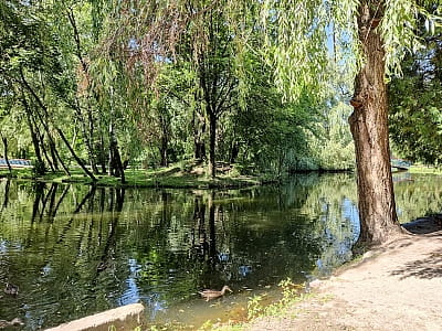 Парк Сопільче в Тернополі: історичний гідропарк з унікальними ландшафтами, дитячими майданчиками, звіринцем та місцями для активного відпочинку. Ідеальний для всієї родини!