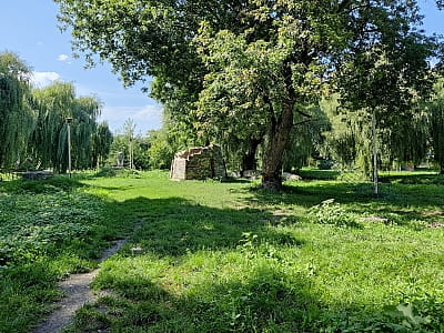 Парк Сопільче, відомий раніше як Топільче, є однією з найвизначніших і улюблених зелених зон Тернополя. Його історія сягає середньовіччя, коли на цьому місці розташовувалося давньоруське поселення. Сьогодні це місце є осередком відпочинку, рекреації та ку