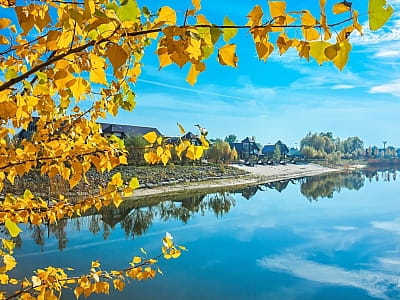  Озеро в комплексі відпочинку «Олімпійське село» на Новообухівському шосе в Києві 