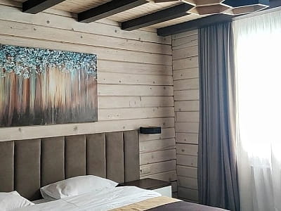 Затишні котеджі в заміському комплексі "TAOR Karpaty Resort & Spa" в Львівській області