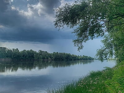 Річка Десна в заміському комплексі "Shambala Wellness Club"