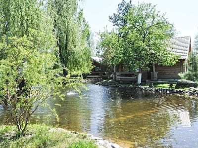 Хороший вибір для поціновувачів спокійного відпочинку на природі. База «Зелений гай» пропонує можливість кожному вдосталь позасмагати і накупатися, відвідати сауну, скуштувати улюблені страви на мангалі та спробувати справжні шедеври в місцевому ресторані