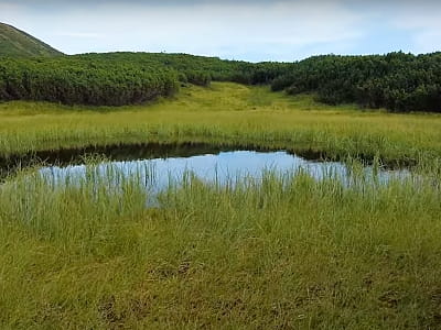 Озеро Брескулець - невелике льодовикове озеро в Карпатах