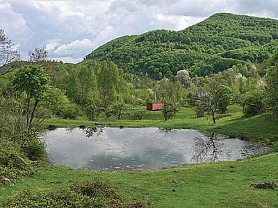 Липовецьке озеро (Морське око Карпат) - озеро вулканічного походження на Закарпатті