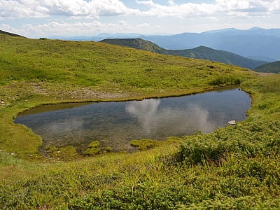 Озеро Ведмедиці - найвисокогірніша водойма України