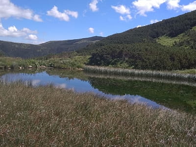 Озеро Рудишина - водойма на південно-східних схилах гори Данціж