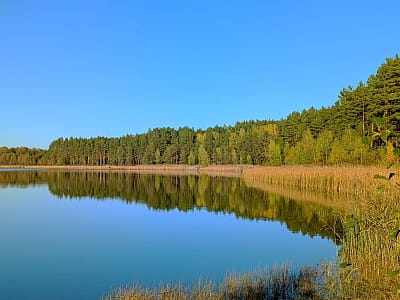 Озеро Тростне на Волині також відоме як Тросне або Тростяне