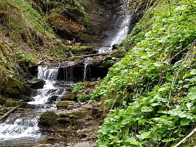 Водоспад Лазний у Карпатах – трьохкаскадний водоспад серед густих лісів, чудове місце для фото, прогулянок і відпочинку на природі.