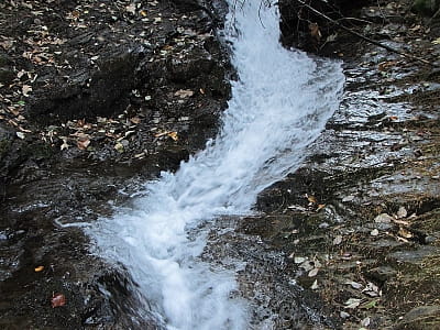 Водоспад Правич - водоспад на потоці річки Багонка поблизу села Мислівка