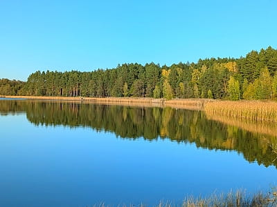 Озеро Тростне на Волині – мальовнича водойма для риболовлі та відпочинку з пляжем, альтанками й місцями для купання серед природи за 2 км від села Карасин.