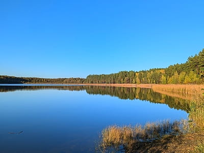 Озеро Тростне на Волині також відоме як Тросне або Тростяне