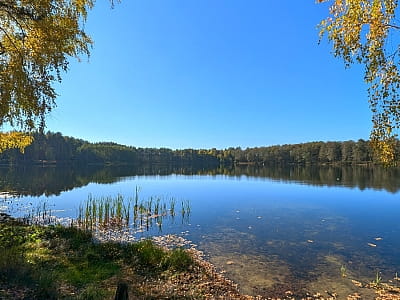 Засвинське озеро, відоме також як Засвідське, розташоване в Камінь-Каширському районі за 3 км на схід від села Градиськ, Волинської області, і є частиною ландшафтного заказника «Градиський».