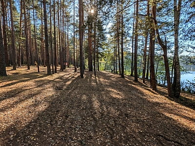 Озеро Засвинське пропонує чудові умови для відпочинку на природі. Тут облаштовано спеціальні місця для розведення вогнища та альтанки, де можна зручно розміститися навіть у дощову погоду.