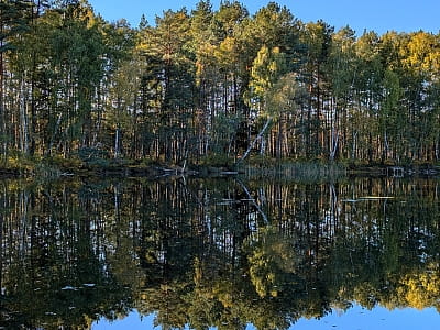 Озеро Засвинське - одне з мальовничих озер Волинської області, розташоване серед лісистих ландшафтів та заболочених берегів. 