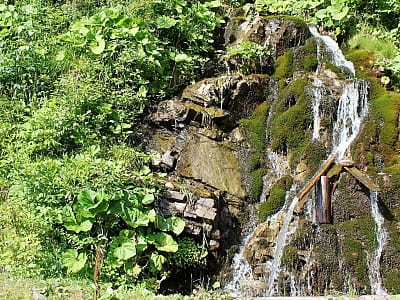 Відкрийте Кортузіанський водоспад у Буковинських Карпатах: мальовничий каскад, легенди, рідкісна флора та маршрути для неймовірних пригод!