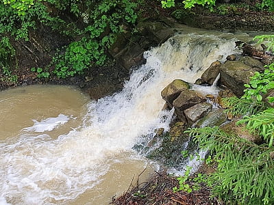 Відвідайте водоспад Лекечі у Чернівецькій області! Легкодоступна локація з мальовничими краєвидами, ідеальна для фотосесій та відпочинку на природі.