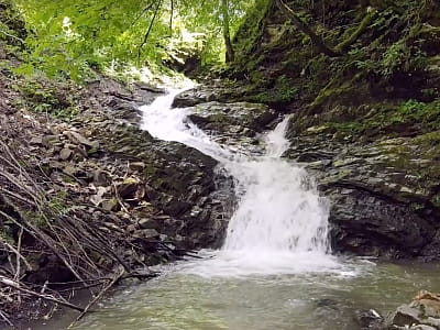 Водоспад Нижній Гук у Карпатах – мальовничий двокаскадний водоспад біля села Розтоки. Ідеальне місце для відпочинку, фото та прогулянок природою.