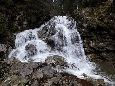 Водоспад Поркулин - мальовничий водоспад у Чернівецькій області