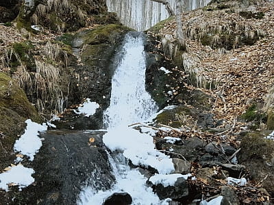 Відвідайте водоспад Шумило національному природному парку «Зачарований край» на Закарпатті - місце серед букових лісів для відпочинку, фотосесій і єднання з природою.