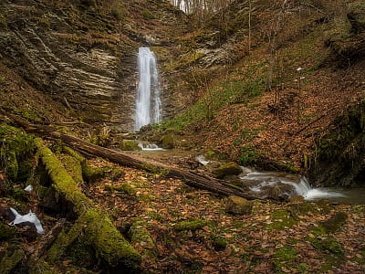 Відвідайте водоспад Сич у Буковинських горах – мальовничий каскад із висотою 10,5 м, що зачаровує своїм шипінням і неймовірними краєвидами.