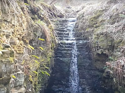 Водоспад Липники в селі Пороги - затишна природна локація в лісі