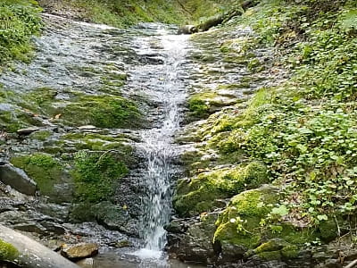 Водоспад Волійці Нижній – дика краса Карпат у Косівському районі