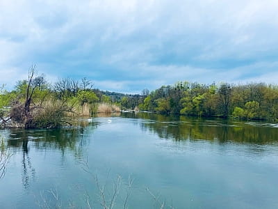 Річка Південний Буг біля заміського комплексу "Родинне гніздо" в селі Губник Вінницької області 