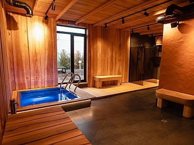 холодна купіль в SPA зоні заміського комплексу VINOGRAD в Гайсині 