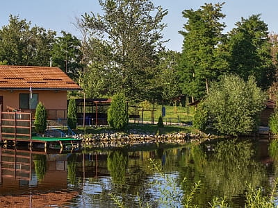 Relax Club — затишний комплекс біля м. Бердичів з риболовлею, лазнею, чаном, банкетними залами та будиночками для комфортного сімейного відпочинку.