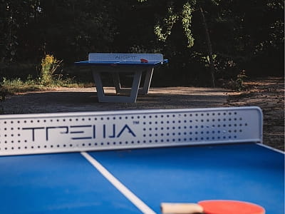 Настільний теніс в заміському комплексі SHELEST біля Києва