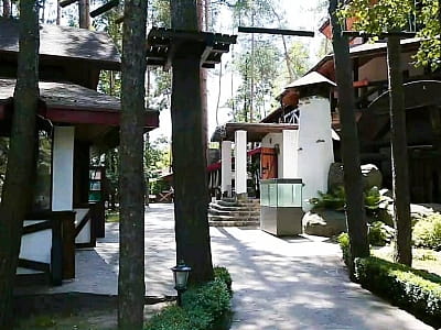 Мотузковий парк в готелі-росторані «Таверна»в селі Романків Київської області