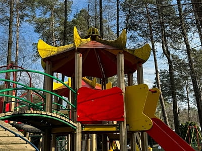 Дитячий майданчиу в заміському комплексі Tysha Forest Club в селі Романків біля Києва 
